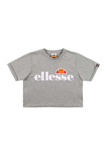 ELLESSE Maglietta 'Nicky'  grigio