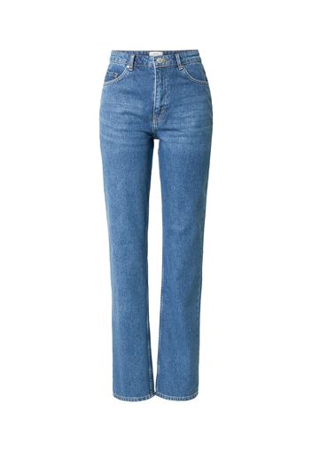 Envii Jeans  blu denim