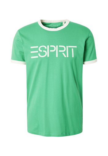 ESPRIT Maglietta  verde / bianco