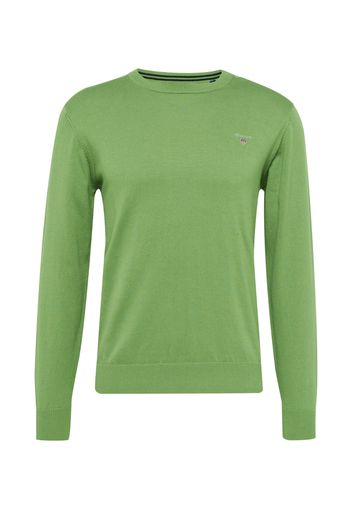 GANT Pullover  verde