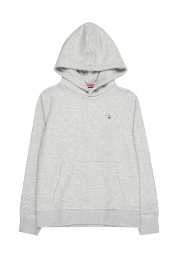 GANT Felpa  navy / grigio sfumato / rosso fuoco / argento