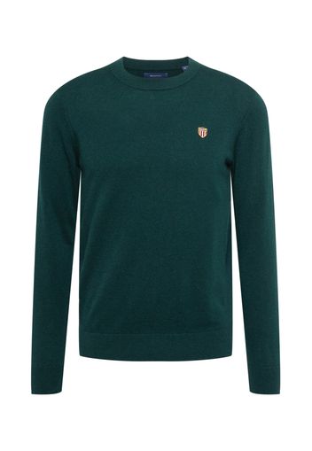 GANT Pullover  navy / verde scuro / rosso / bianco