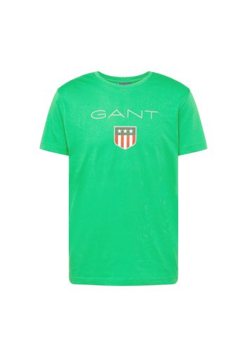 GANT Maglietta  grigio chiaro / verde / rosso