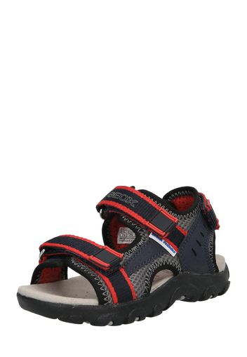 GEOX Sandalo  navy / grigio / rosso