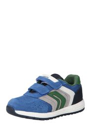 GEOX Sneaker 'ALBEN'  blu / talpa / verde / bianco