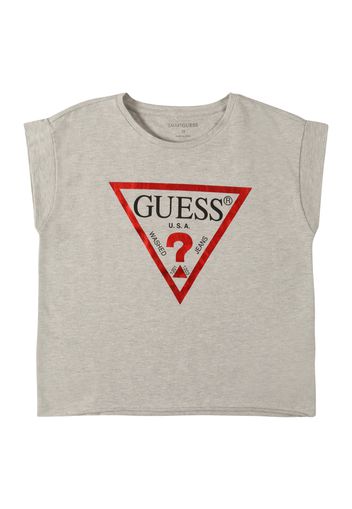 GUESS Maglietta  grigio / rosso / nero