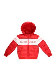 GUESS Giacca funzionale  rosso fuoco / bianco