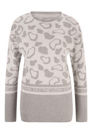 heine Pullover  grigio basalto / grigio chiaro