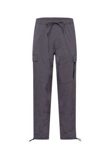 HOLLISTER Pantaloni cargo  grigio
