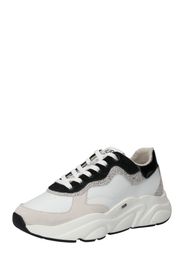 HUB Sneaker bassa  beige / nero / bianco