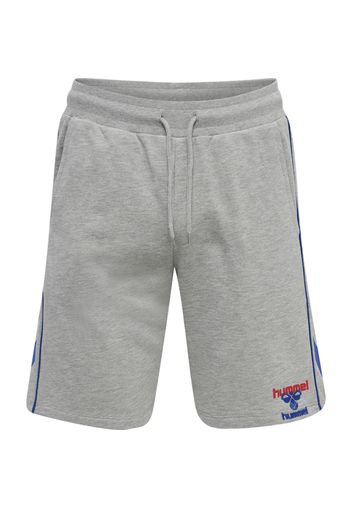 Hummel Shorts 'Durban'  grigio sfumato / blu / rosso