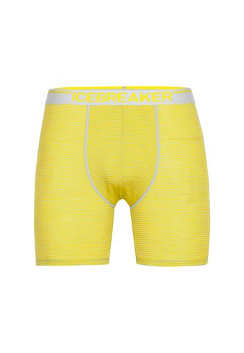 ICEBREAKER Boxer 'Anatomica'  grigio chiaro / giallo