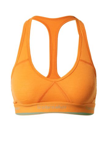 ICEBREAKER Reggiseno sportivo 'Sprite'  arancione / verde pastello