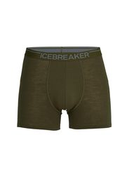 ICEBREAKER Boxer 'Anatomica'  grigio / oliva