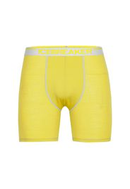 ICEBREAKER Boxer 'Anatomica'  grigio chiaro / giallo