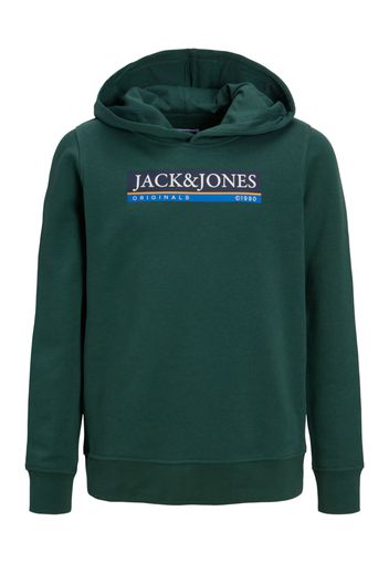 Jack & Jones Junior Felpa 'CODYY'  verde scuro / colori misti