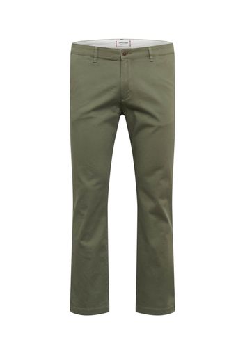 Jack & Jones Plus Pantaloni chino 'ROY'  oliva