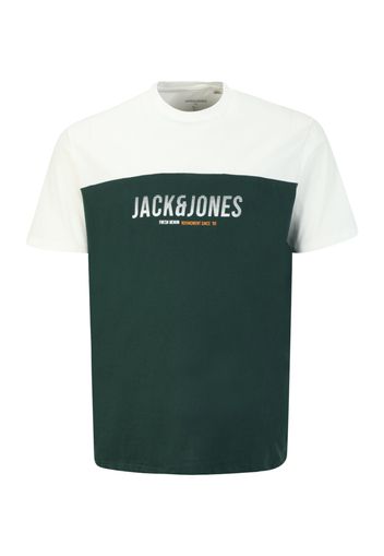 Jack & Jones Plus Maglietta  giallo / verde / bianco