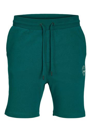 JACK & JONES Pantaloni 'SHARK'  verde scuro / bianco