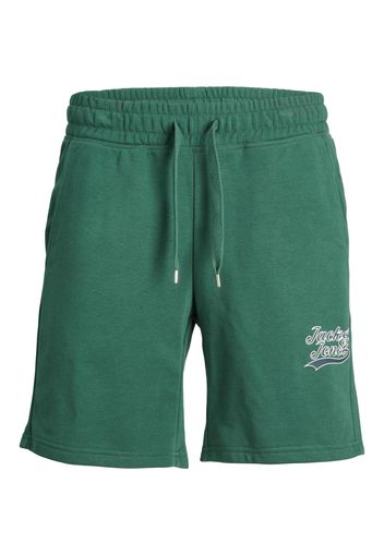 JACK & JONES Pantaloni 'TREVOR'  blu scuro / verde erba / bianco