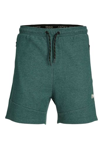 JACK & JONES Pantaloni  grigio / verde