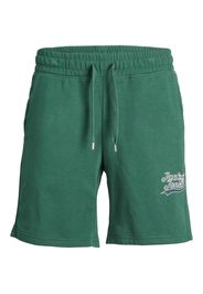 JACK & JONES Pantaloni 'TREVOR'  blu scuro / verde erba / bianco