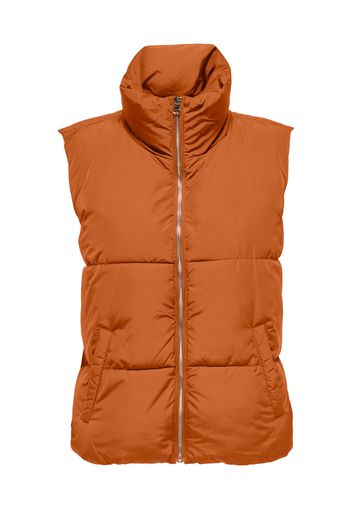 JDY Gilet 'ERICA'  arancione