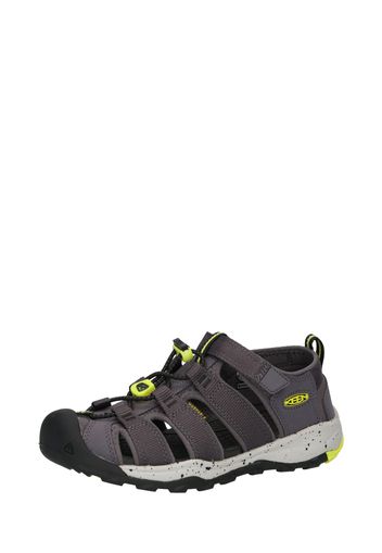 KEEN Sandalo 'NEWPORT NEO H2'  grigio