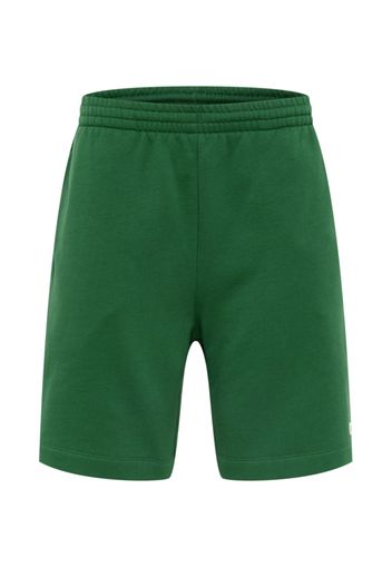 LACOSTE Pantaloni  verde