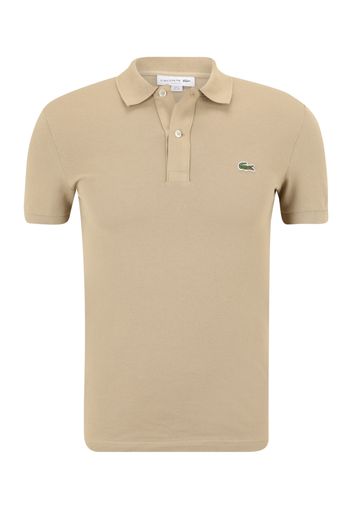 LACOSTE Maglietta  beige scuro / verde erba / rosso acceso / bianco