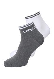 LACOSTE Calzino  grigio sfumato / bianco