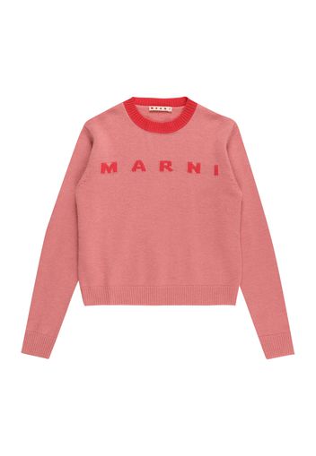 Marni Pullover  rosa / rosso