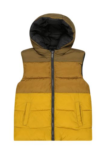 Mayoral Gilet  miele / oliva / curry