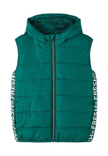 NAME IT Gilet 'MYLANE'  verde scuro / bianco