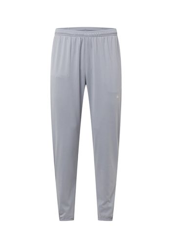 NIKE Pantaloni sportivi  grigio