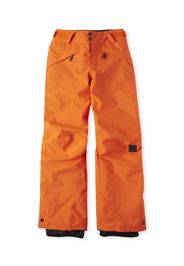 O'NEILL Pantaloni per outdoor 'Anvil'  colori misti / arancione