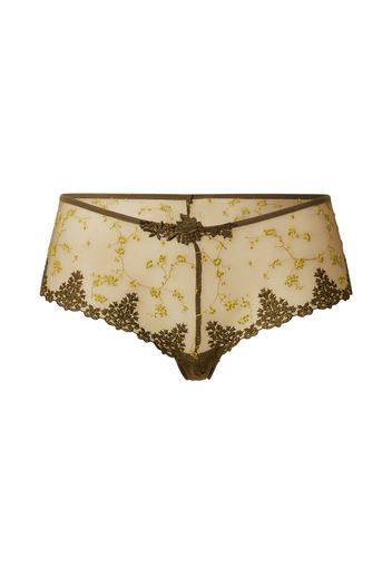 PASSIONATA Panty  cachi / verde chiaro