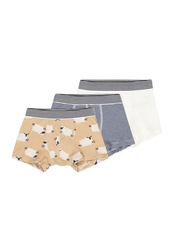 PETIT BATEAU Pantaloncini intimi  sabbia / blu / cappuccino / bianco