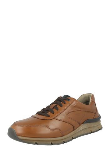 Pius Gabor Sneaker bassa  cognac