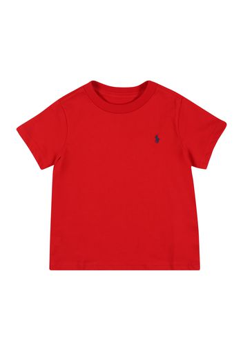 Polo Ralph Lauren Maglietta  rosso / blu scuro