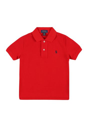 Polo Ralph Lauren Maglietta  rosso / navy