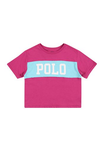 Polo Ralph Lauren Maglietta  bianco / blu chiaro / eosina