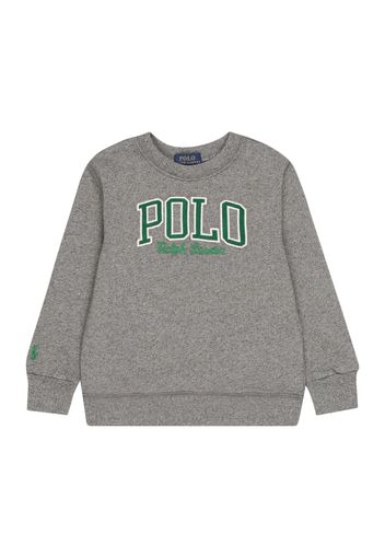 Polo Ralph Lauren Felpa  grigio sfumato / verde / bianco