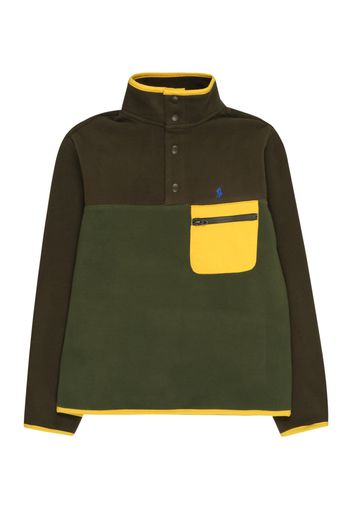 Polo Ralph Lauren Pullover  verde / marrone / giallo / blu