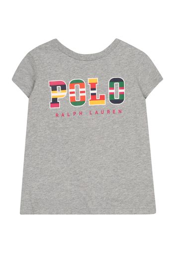 Polo Ralph Lauren Maglietta  grigio sfumato / colori misti