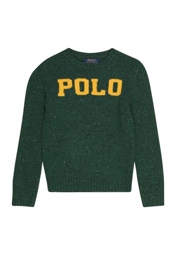 Polo Ralph Lauren Pullover  verde scuro / giallo scuro