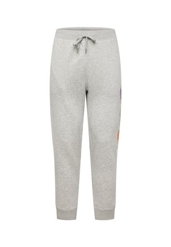 Polo Ralph Lauren Pantaloni  grigio chiaro / colori misti