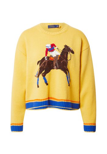 Polo Ralph Lauren Pullover  giallo / blu / marrone / rosso