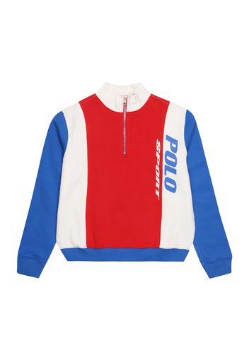 Polo Ralph Lauren Felpa  rosso / blu reale / bianco