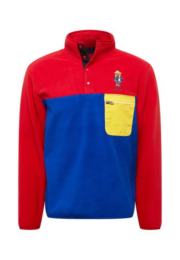 Polo Ralph Lauren Pullover  blu / rosso / giallo